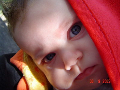 Sch�n meine rote Decke, kuschelig warm da drunter.