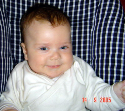 Da liege ich auf meiner neuen Wippe, echt bequem!